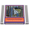 Reproduction Vintage Witches Halloween Greeting Cards 12 Card Set in Tin